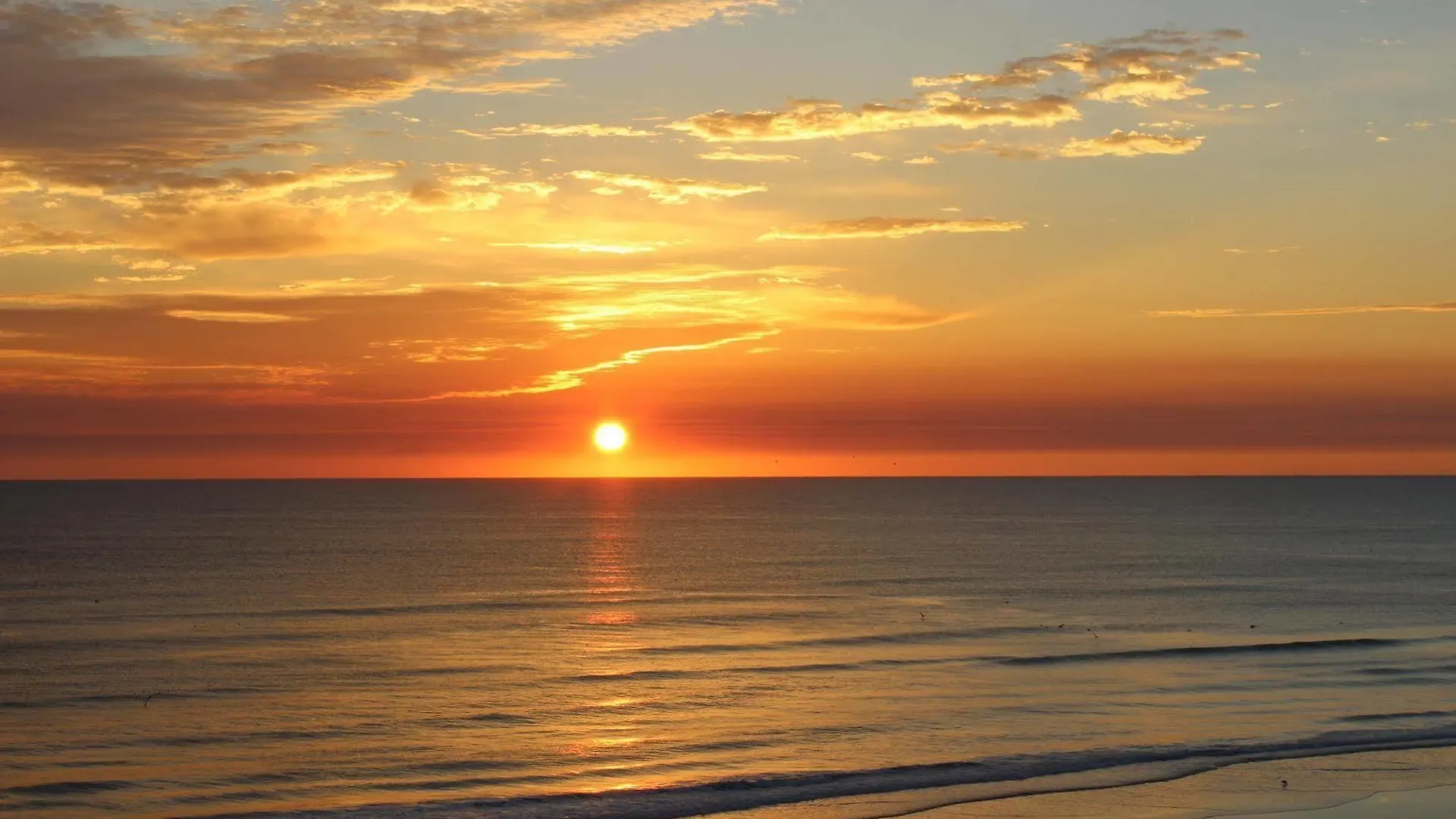 Hotel Sea Club IV Resort Daytona Beach Shores